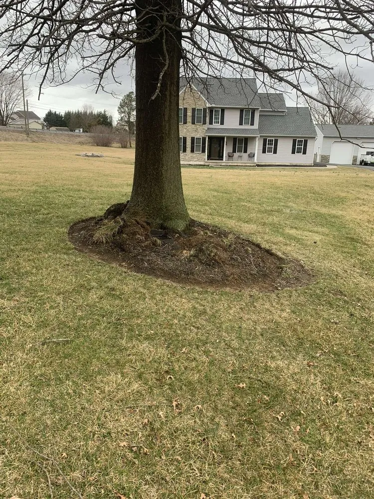 Reliable yard cleanup service in Oxford, PA by Green Thumb Solutions