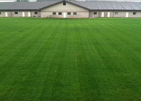 Local yard maintenance experts serving Westminster, MA - Green Thumb Turf & Tick