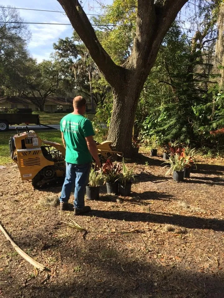 Expert lawn care service for beautiful yards across Port Richey, FL - Green Thumb Unlimited