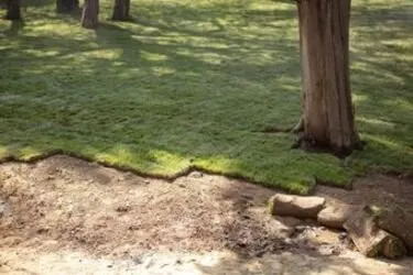 Professional garden landscaping for outdoor upgrades in Port Richey, FL by Green Thumb Unlimited