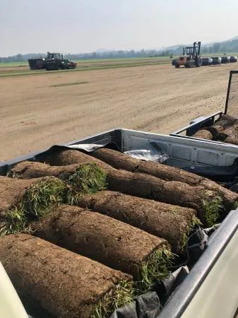 Professional garden landscaping for year-round maintenance across Asheville, NC - Green Thumb Yardworks