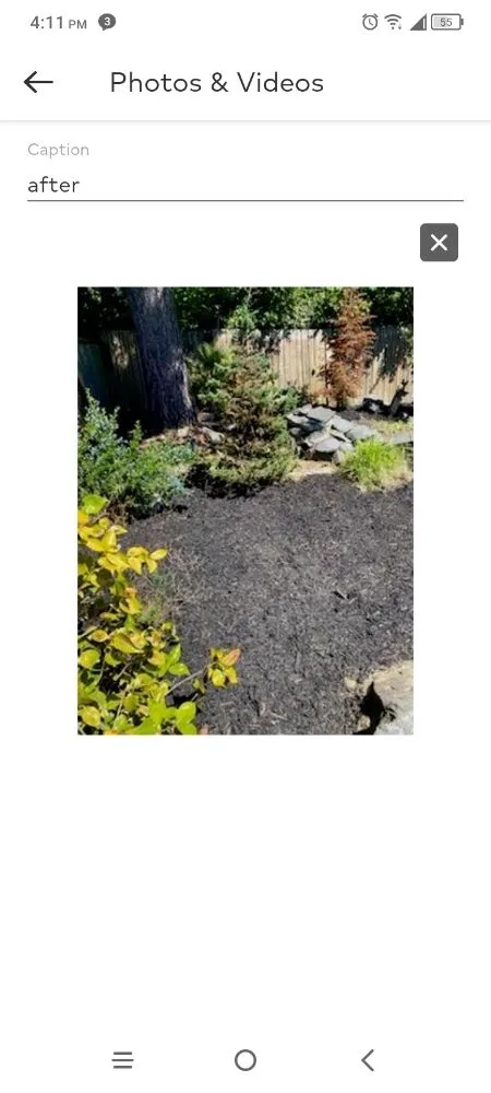 Local yard maintenance experts serving Auburn, WA - Green Thumbs Landscaping