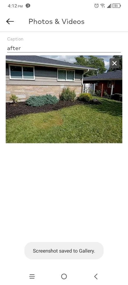 Affordable yard cleanup service near you across Auburn, WA - Green Thumbs Landscaping
