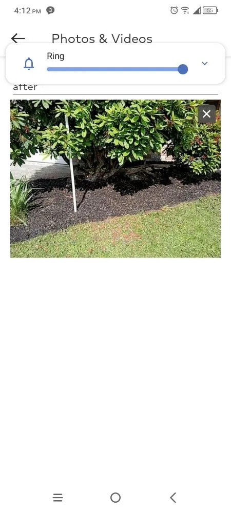 Professional yard maintenance for year-round maintenance across Auburn, WA - Green Thumbs Landscaping