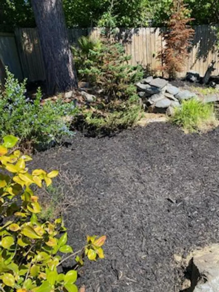 Reliable yard maintenance experts serving Auburn, WA - Green Thumbs Landscaping