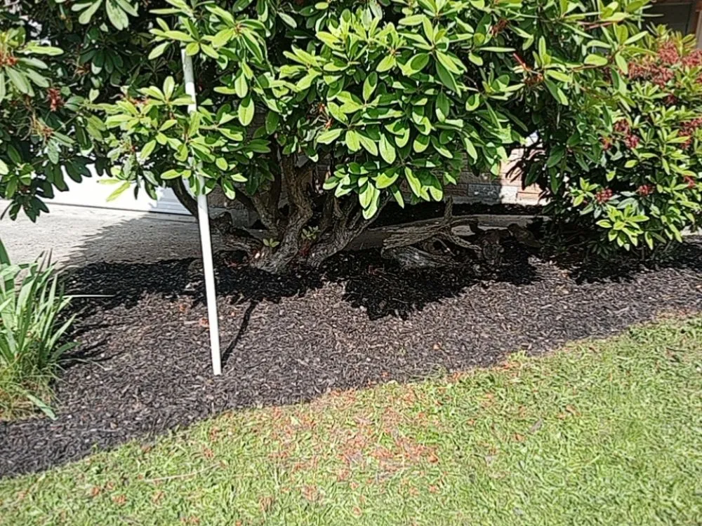 Custom landscaping services near you in Auburn, WA by Green Thumbs Landscaping