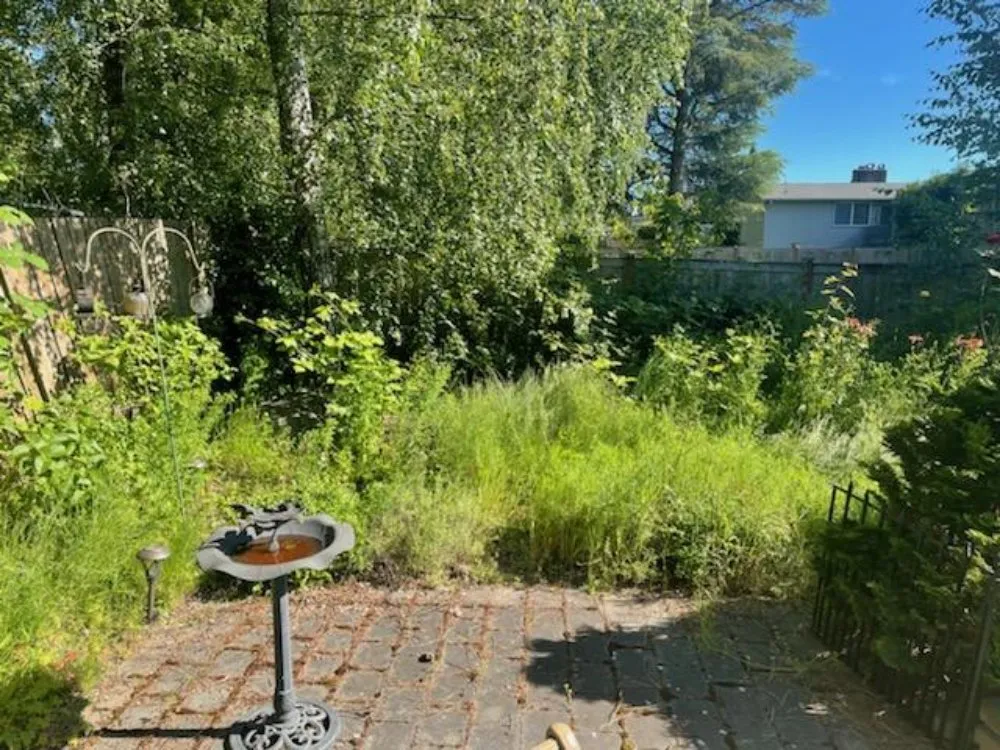 Professional yard maintenance for outdoor upgrades across Auburn, WA - Green Thumbs Landscaping