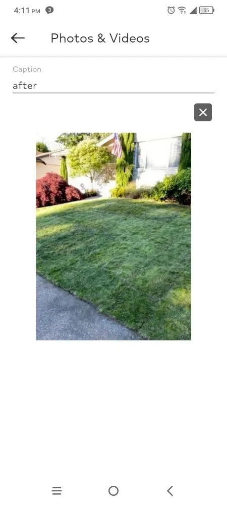 Reliable landscaping services for homes across Auburn, WA - Green Thumbs Landscaping