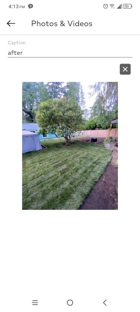 Expert yard cleanup service for beautiful yards across Auburn, WA - Green Thumbs Landscaping