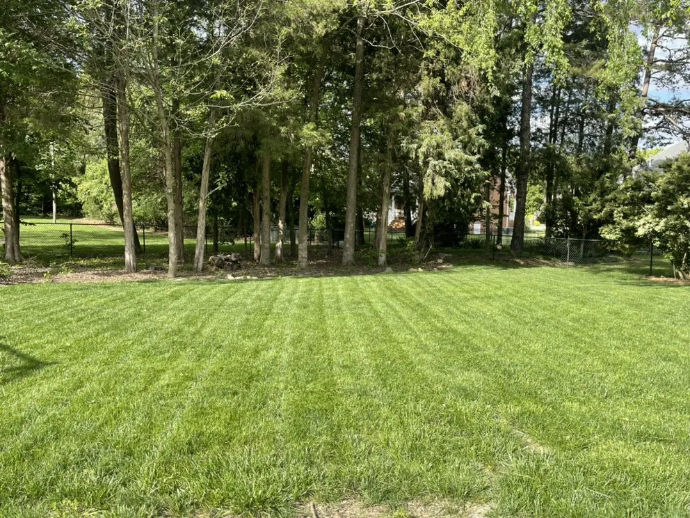 Affordable landscape installation experts serving Yanceyville, NC - Green Thumbs Landscaping Services