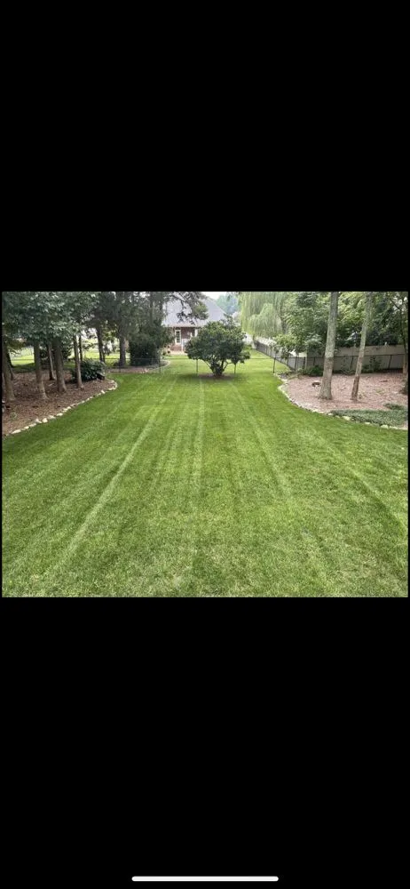 Professional lawn care service for year-round maintenance across Yanceyville, NC - Green Thumbs Landscaping Services