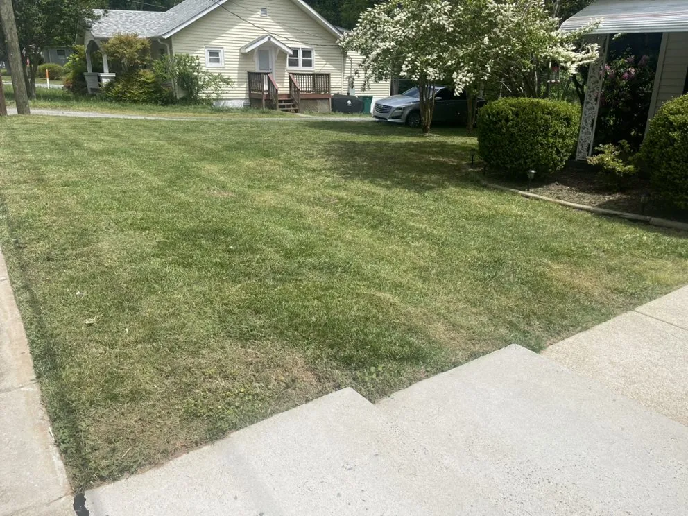 Trusted outdoor landscaping in Yanceyville, NC - Green Thumbs Landscaping Services