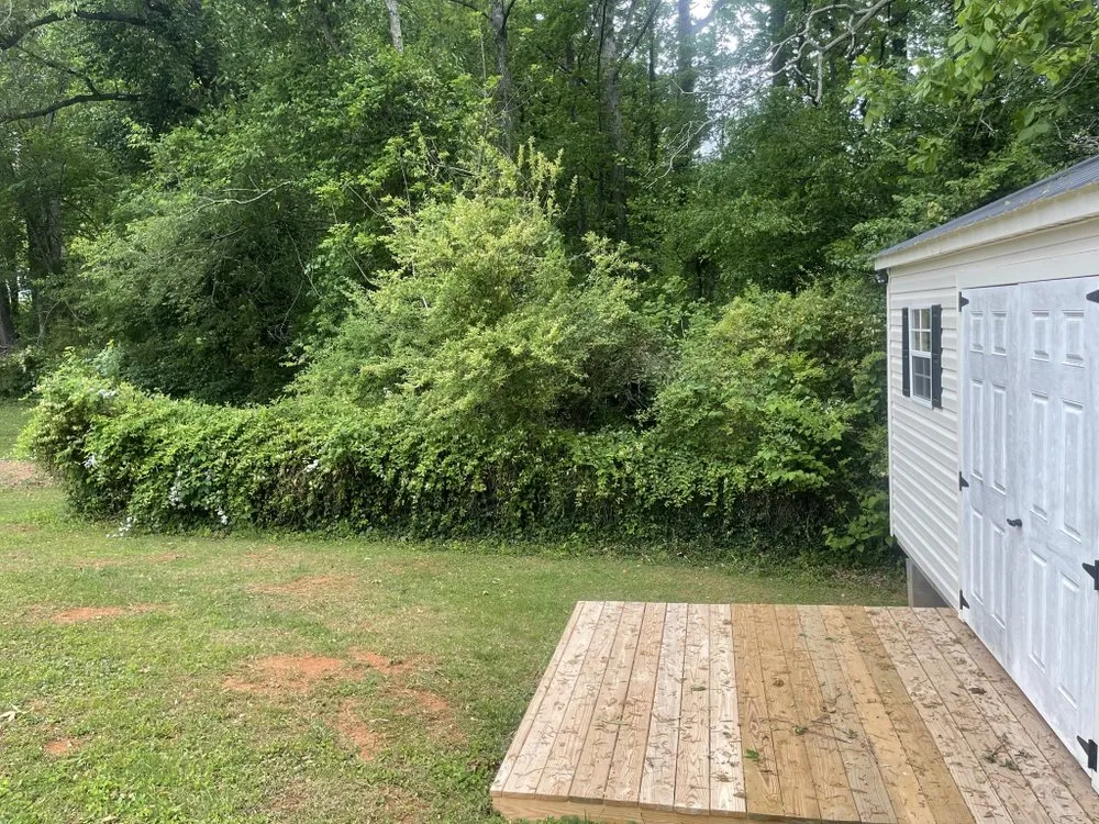 Expert landscaping services with custom design in Yanceyville, NC by Green Thumbs Landscaping Services