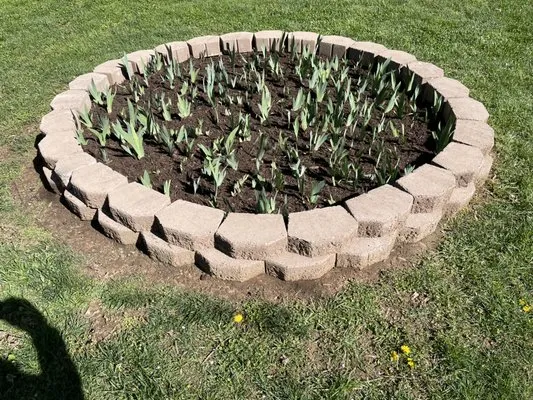 Green Thumbs Landscaping Services