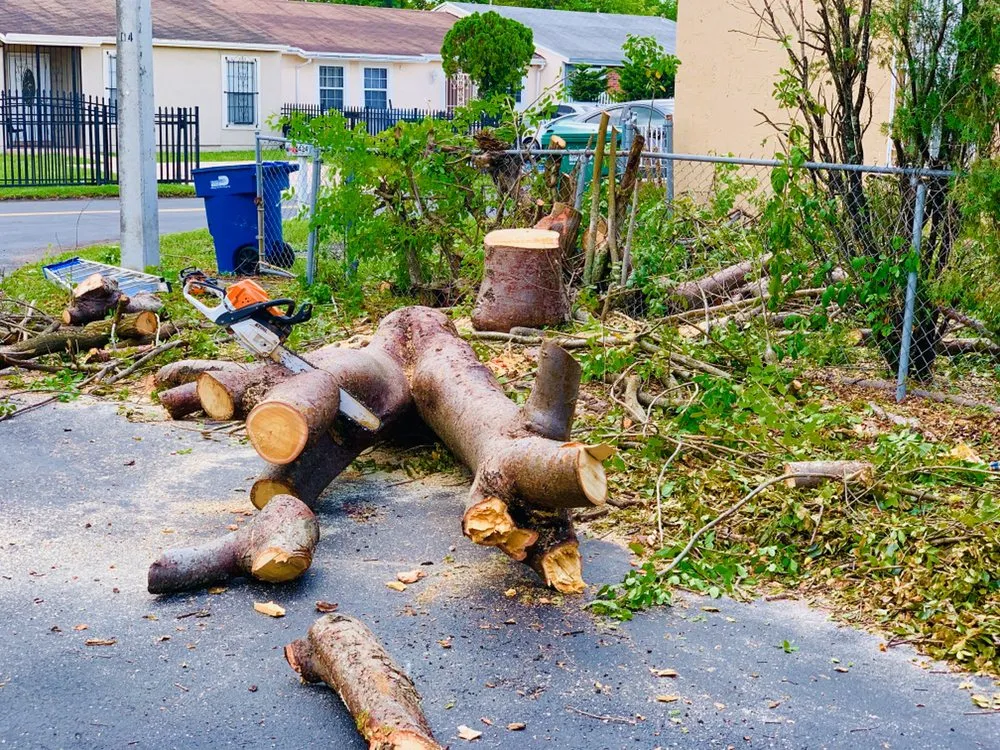 Professional outdoor landscaping experts serving Miami, FL - Green Thumbs Lawn Services