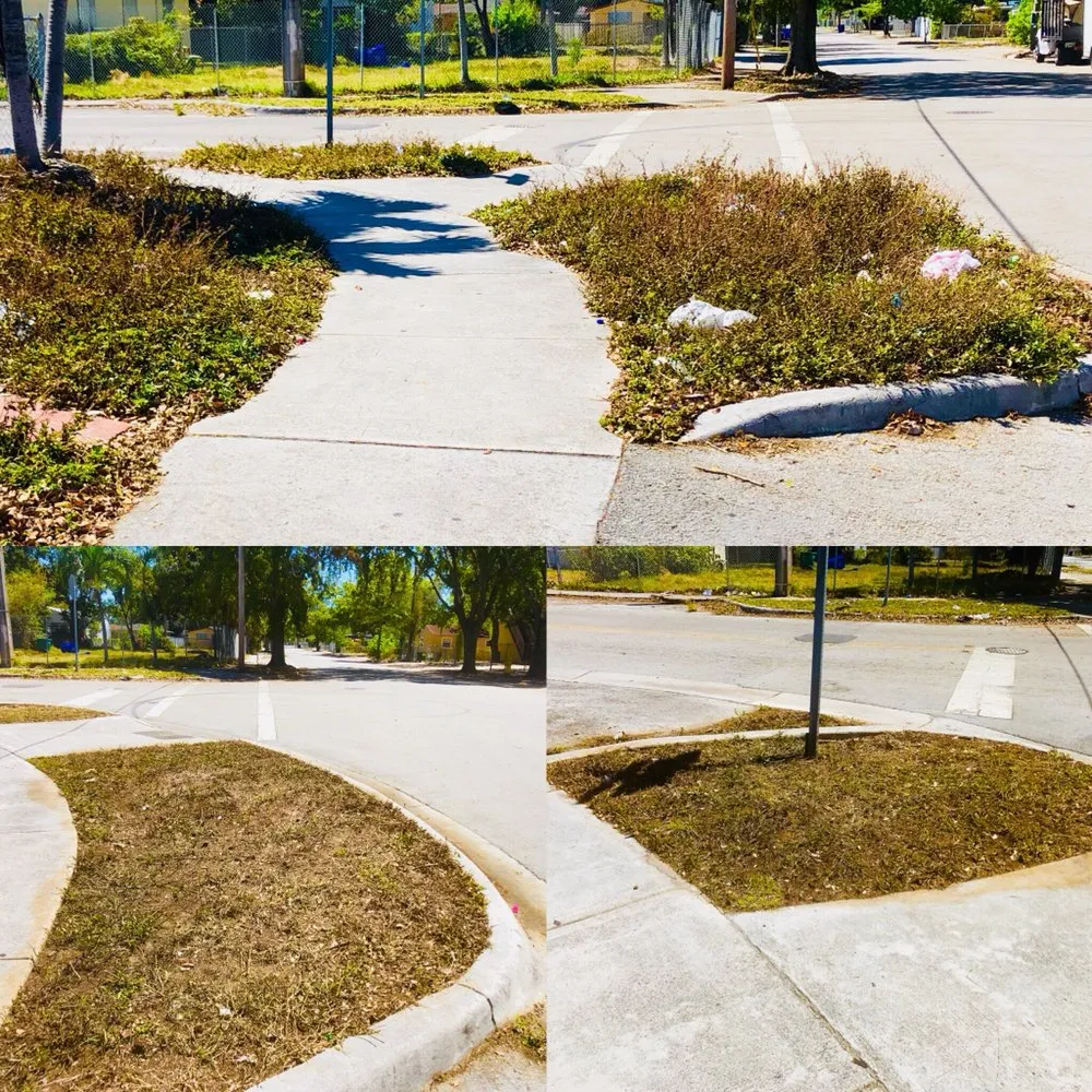 Reliable lawn care service for homes in Miami, FL by Green Thumbs Lawn Services