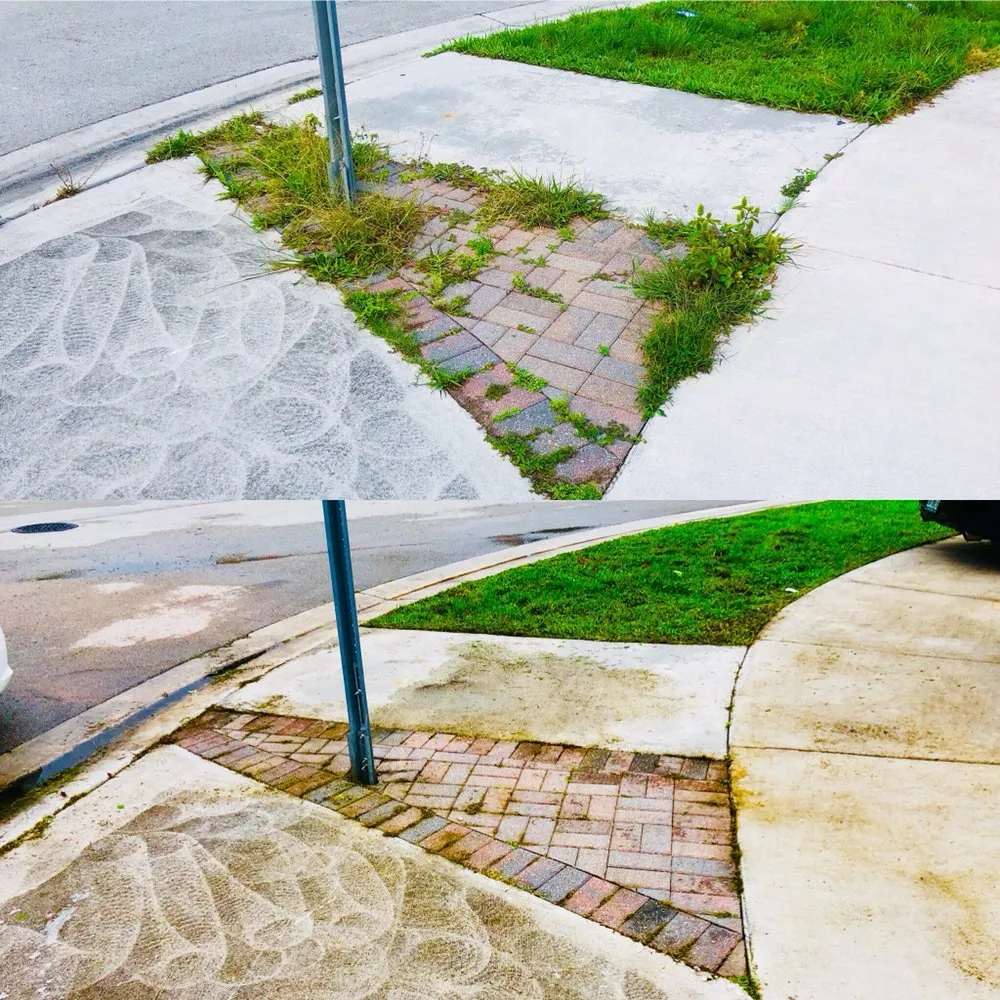 Expert garden landscaping in Miami, FL by Green Thumbs Lawn Services