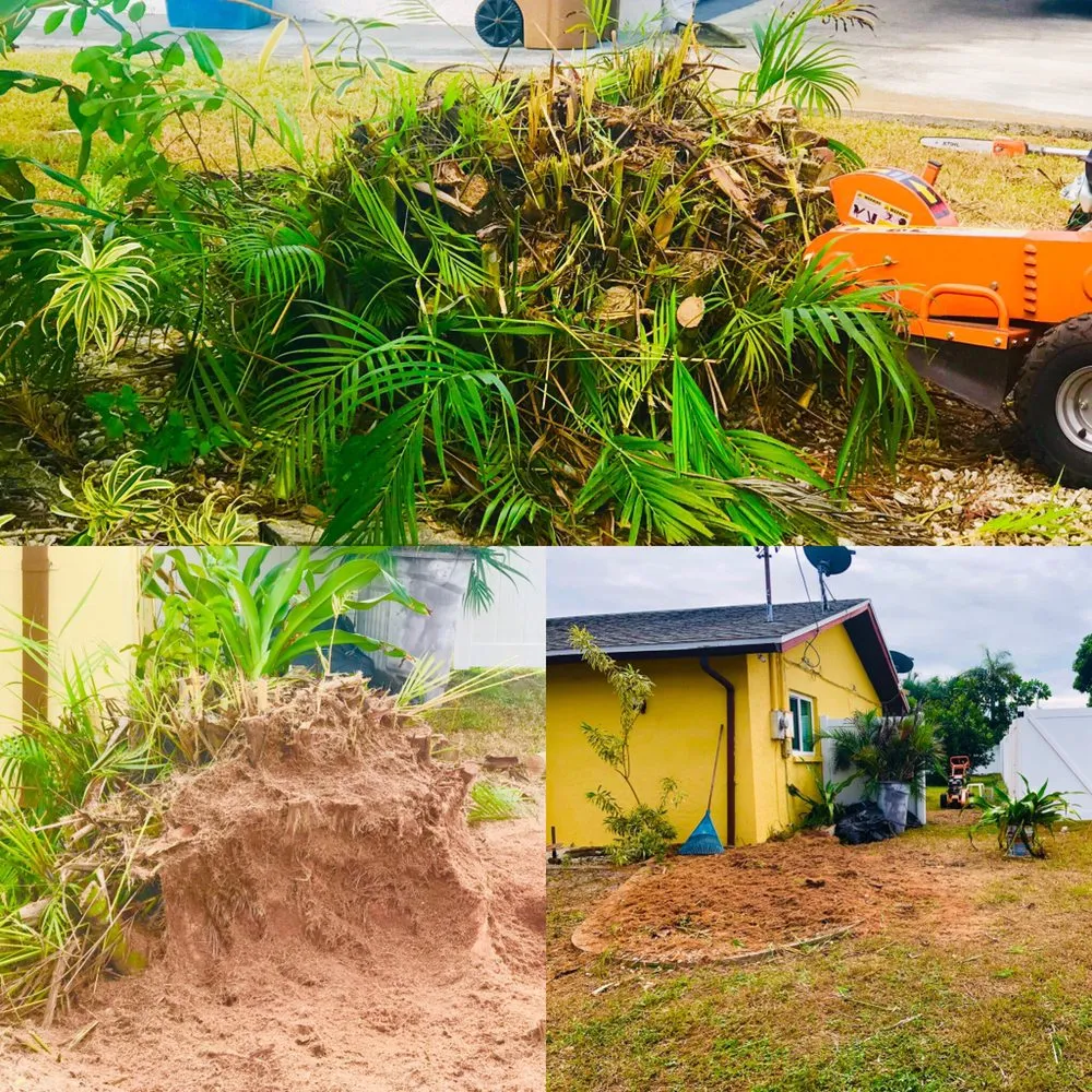 Affordable garden landscaping near you across Miami, FL - Green Thumbs Lawn Services