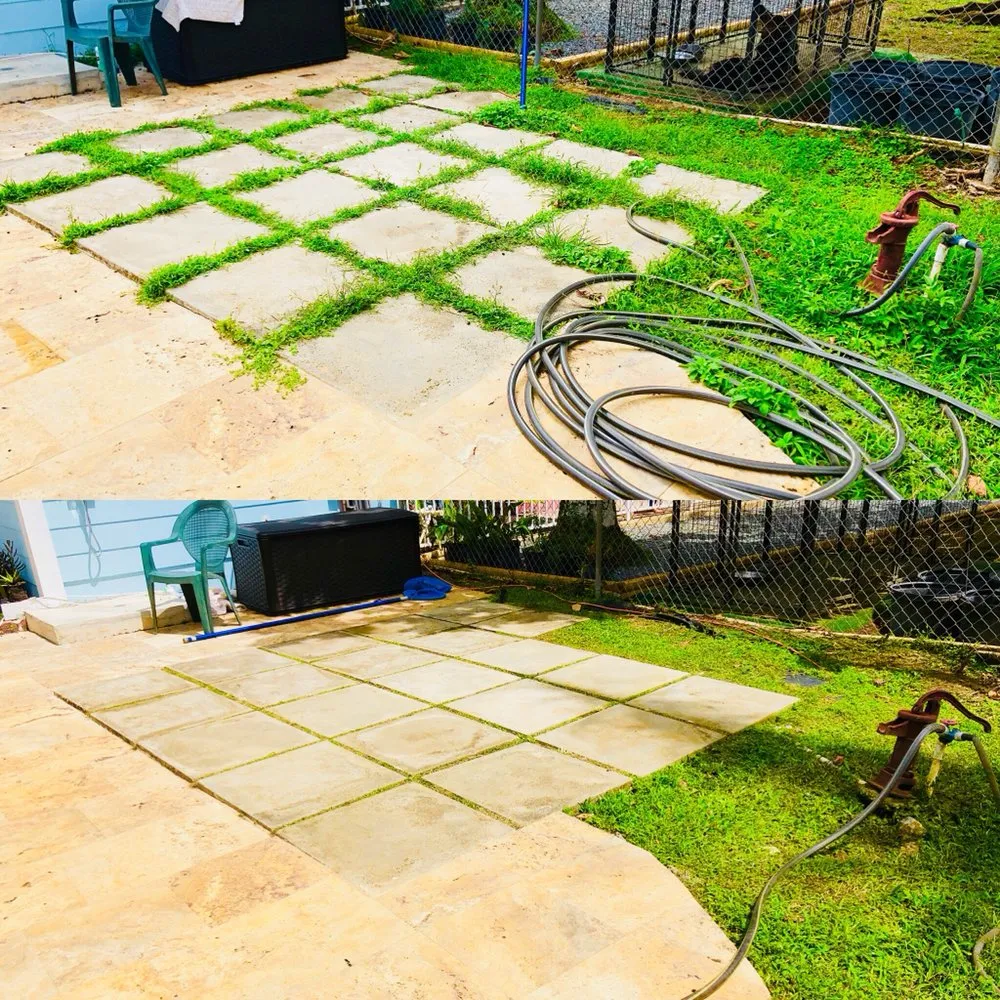 Affordable landscape installation in Miami, FL - Green Thumbs Lawn Services