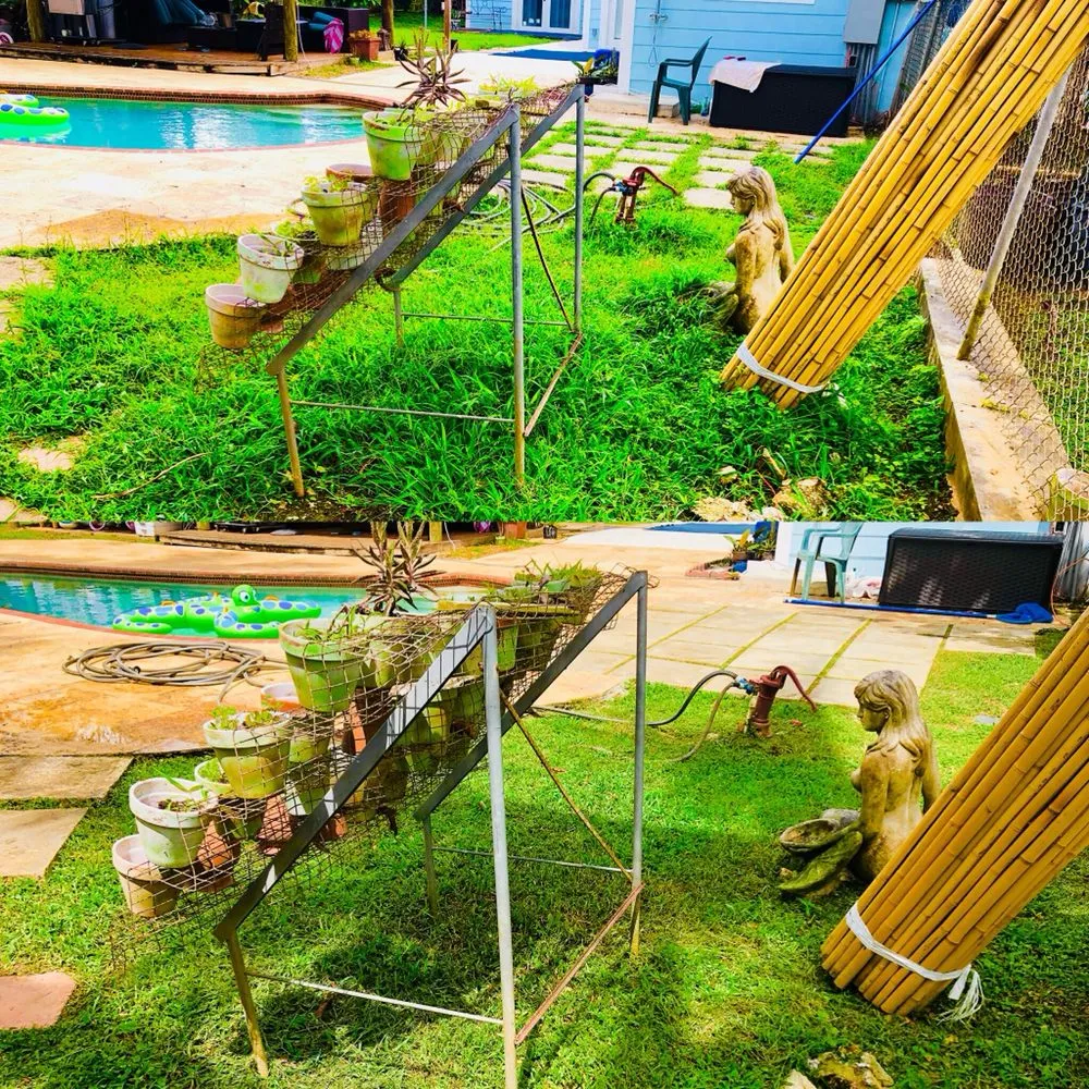 Trusted lawn care service with custom design in Miami, FL by Green Thumbs Lawn Services