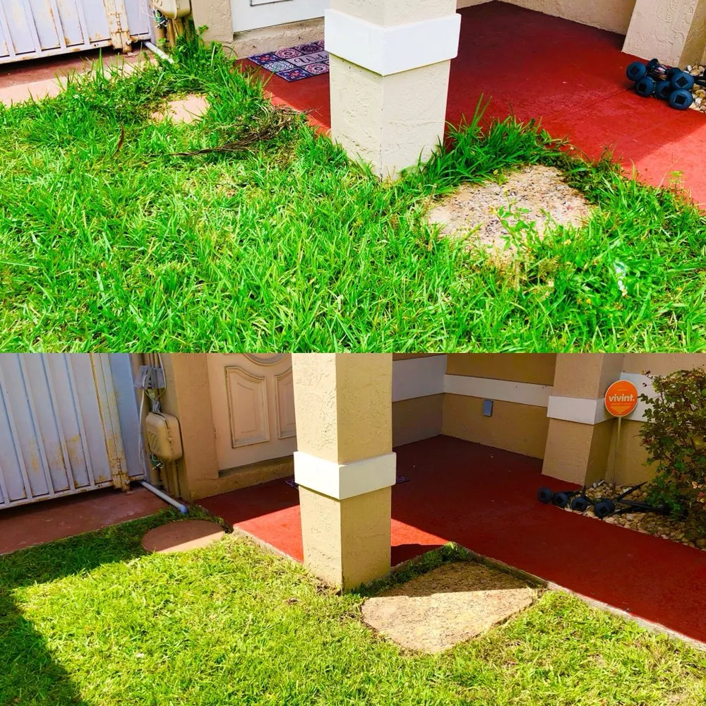 Professional garden landscaping in Miami, FL by Green Thumbs Lawn Services