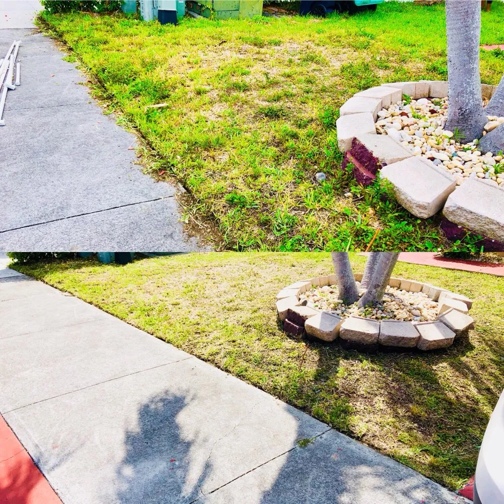 Custom outdoor landscaping experts serving Miami, FL - Green Thumbs Lawn Services