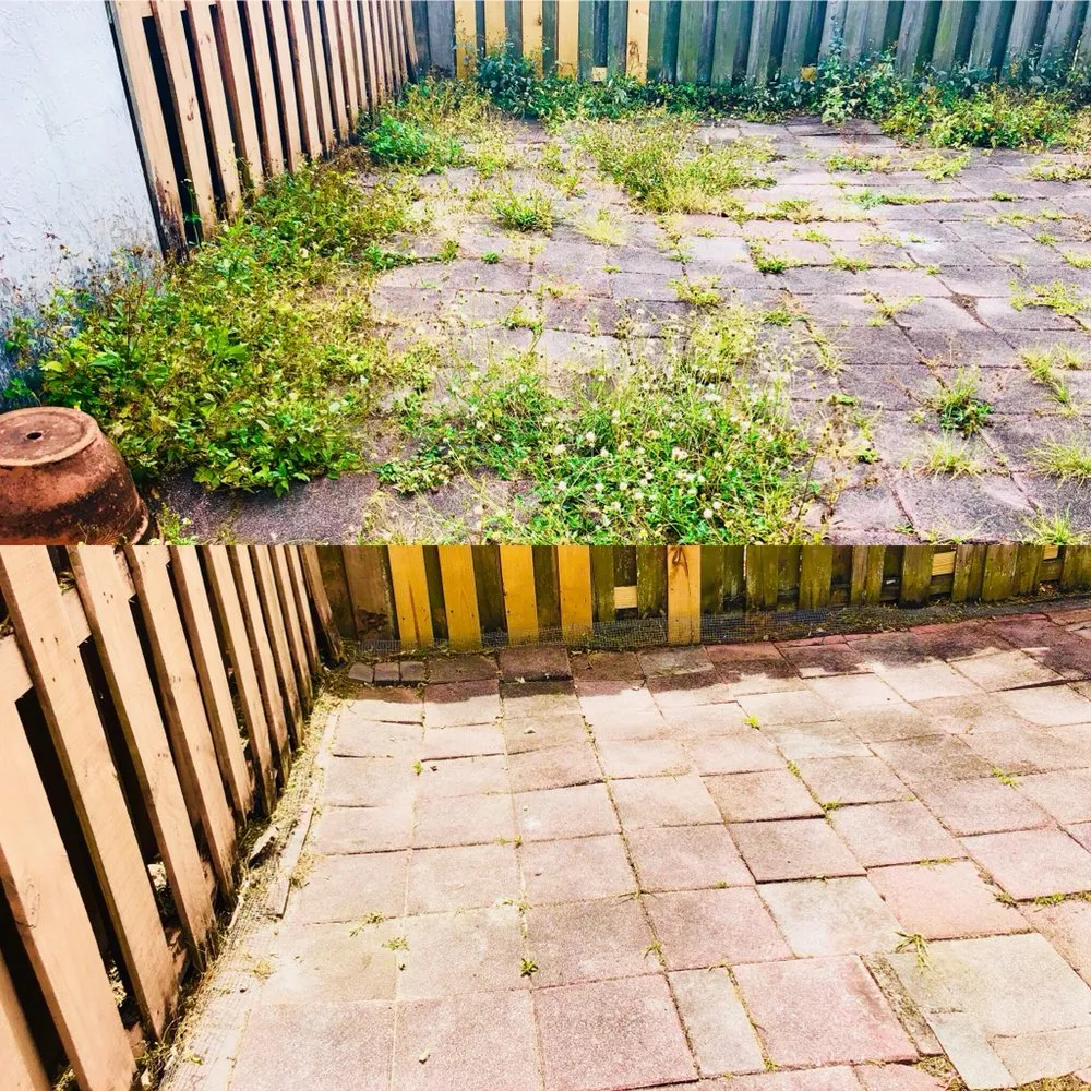 Professional yard maintenance experts serving Miami, FL - Green Thumbs Lawn Services