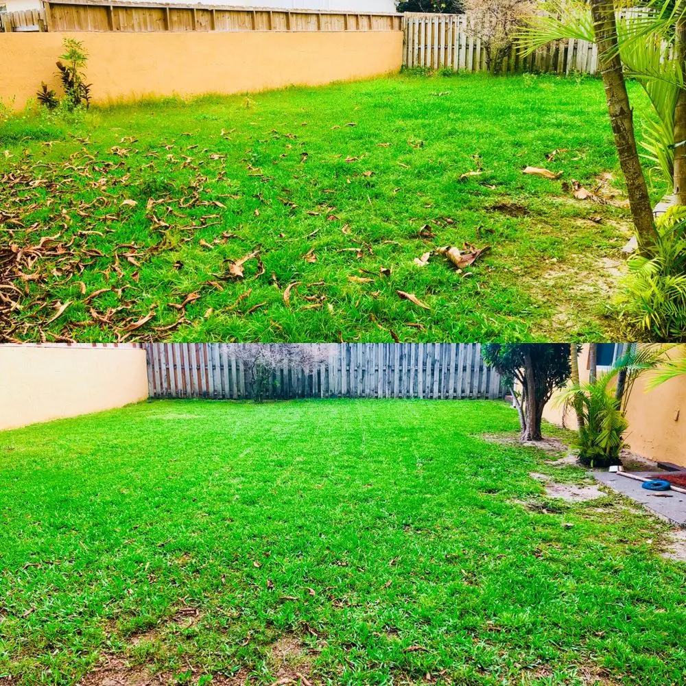 Professional landscaping services in Miami, FL - Green Thumbs Lawn Services