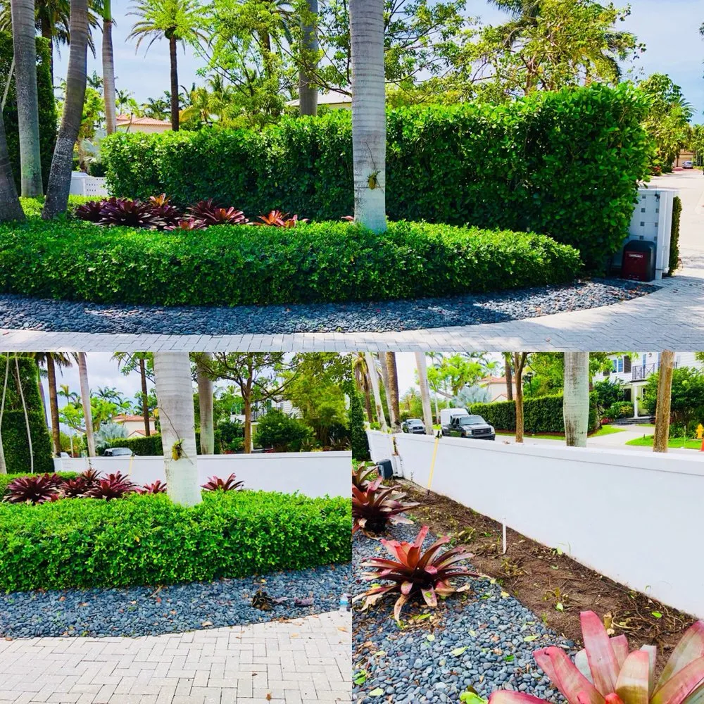 Local lawn mowing service for homes across Miami, FL - Green Thumbs Lawn Services
