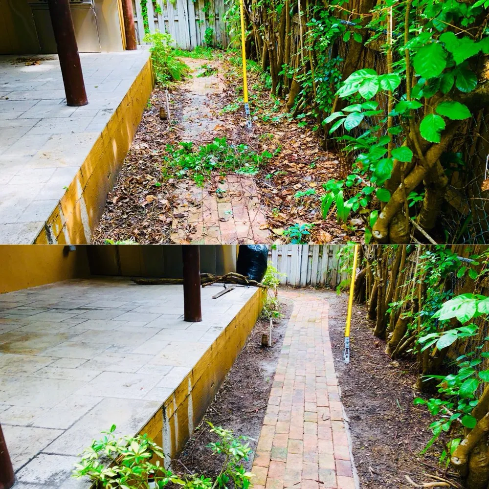 Top-rated landscaping services for beautiful yards across Miami, FL - Green Thumbs Lawn Services