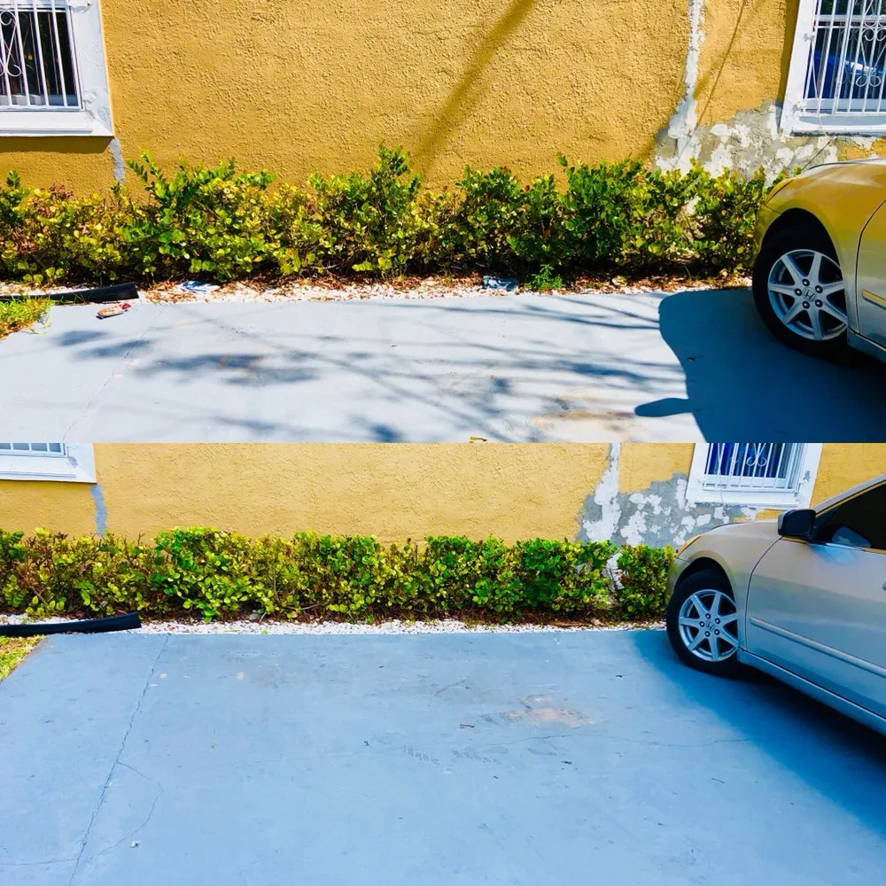 Affordable garden landscaping in Miami, FL by Green Thumbs Lawn Services