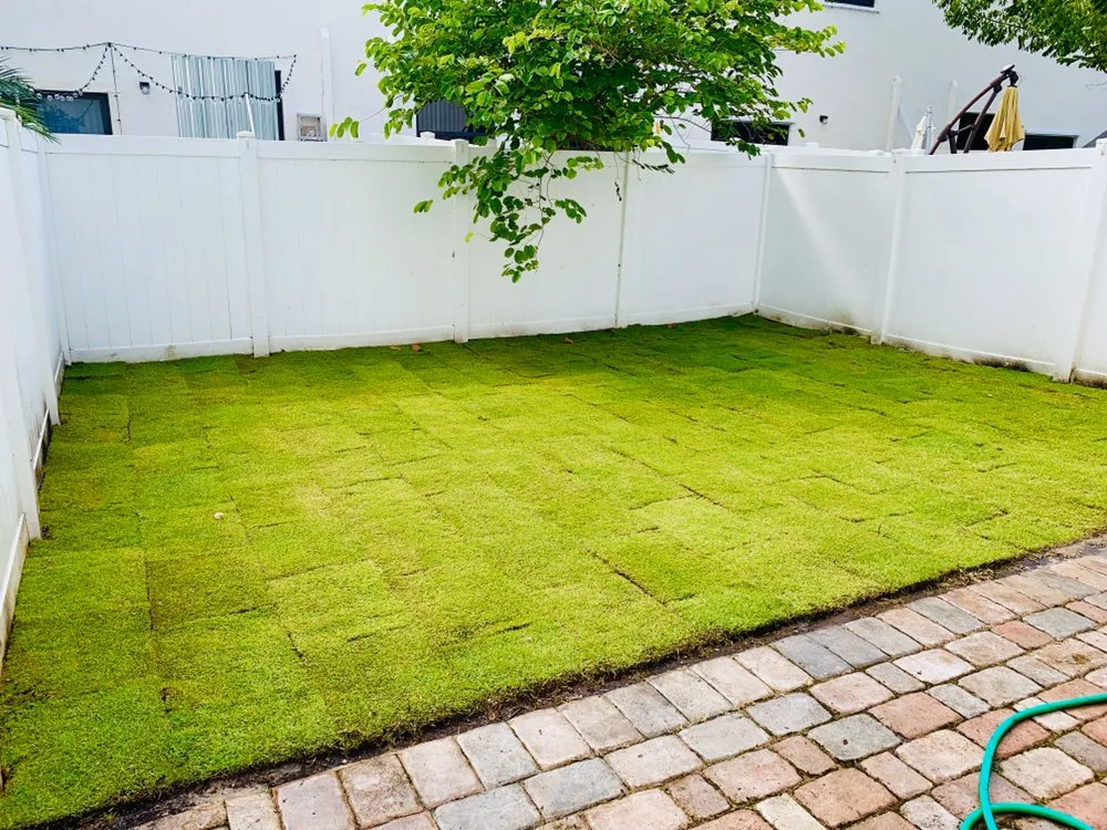 Trusted lawn mowing service for homes across Miami, FL - Green Thumbs Lawn Services