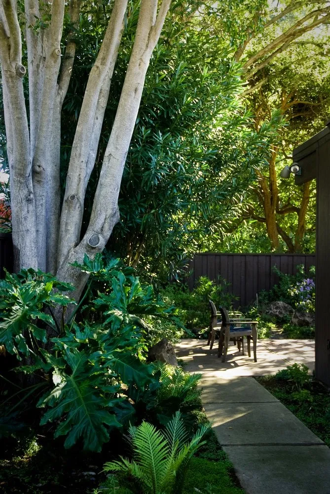 Expert residential landscaping with custom design across Palo Alto, CA - Green Thumbs Up