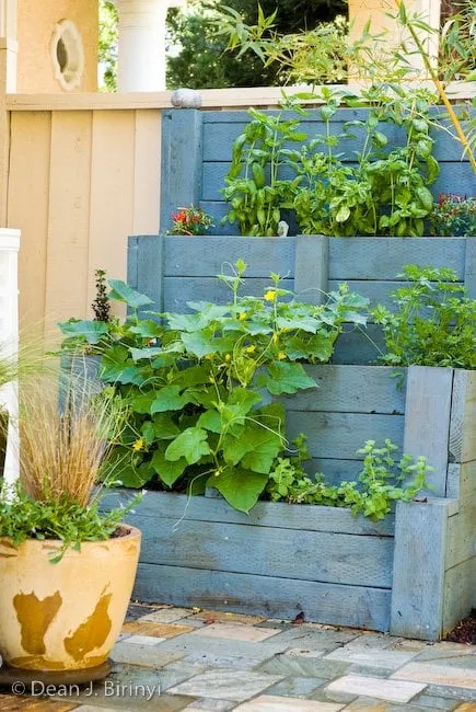 Affordable outdoor landscaping for year-round maintenance across Palo Alto, CA - Green Thumbs Up