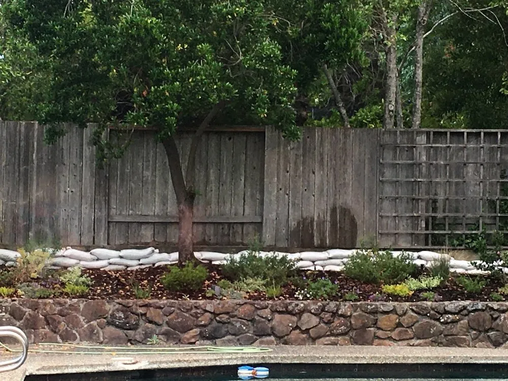 Local yard maintenance in Palo Alto, CA - Green Thumbs Up