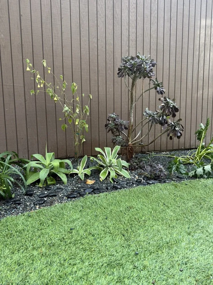Professional landscape installation experts serving Palo Alto, CA - Green Thumbs Up