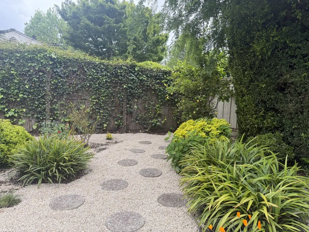 Custom landscaping services near you across Palo Alto, CA - Green Thumbs Up