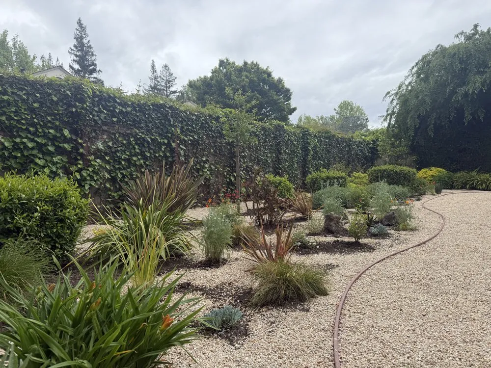 Local lawn mowing service in Palo Alto, CA - Green Thumbs Up