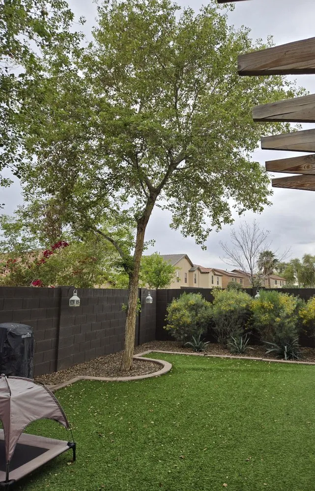 Expert landscape design experts serving Surprise, AZ - Green Tier Landscape