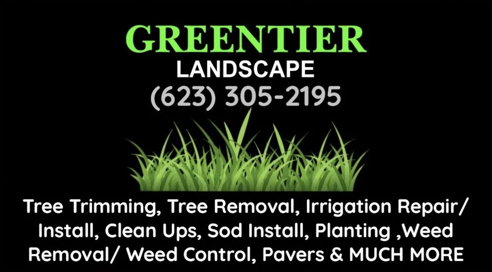 Local landscape installation for year-round maintenance in Surprise, AZ by Green Tier Landscape