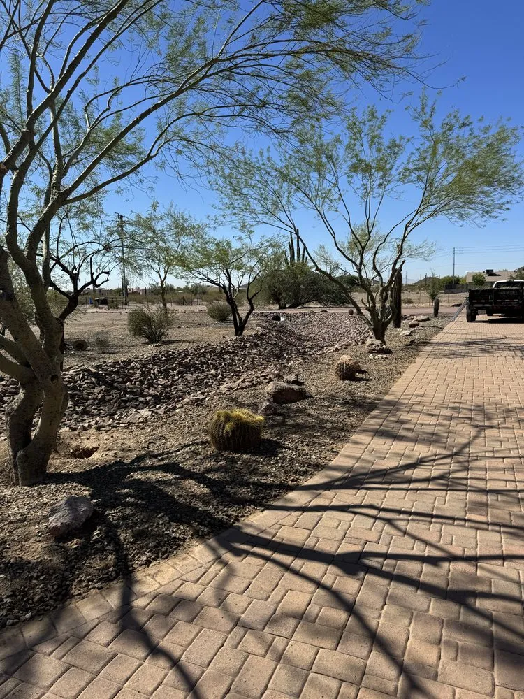 Top-rated landscaping services experts serving Surprise, AZ - Green Tier Landscape