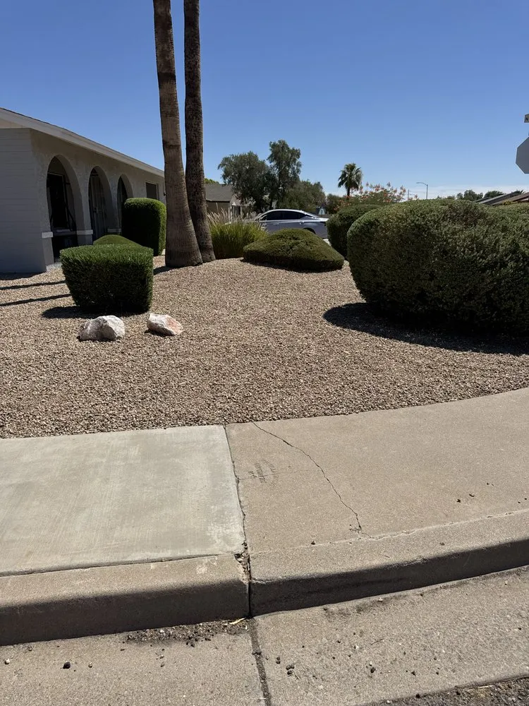 Custom garden landscaping experts serving Surprise, AZ - Green Tier Landscape