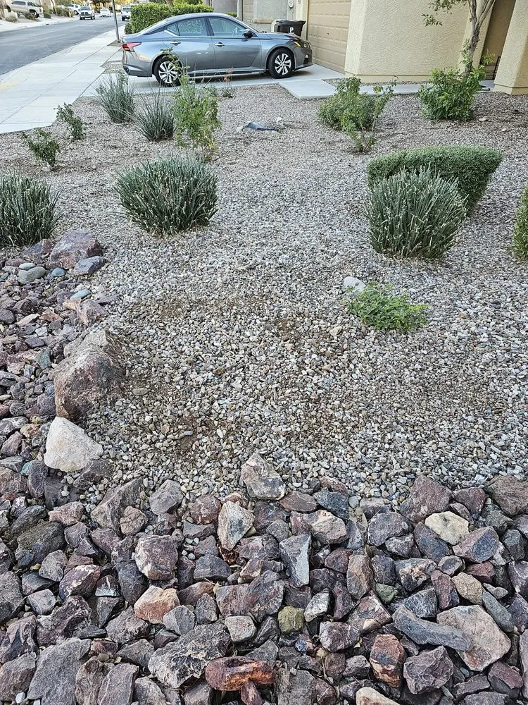 Top-rated yard maintenance for outdoor upgrades across Surprise, AZ - Green Tier Landscape