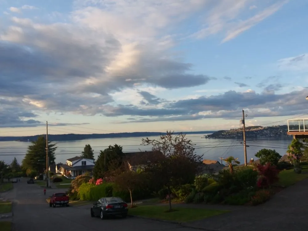 Expert yard maintenance for year-round maintenance in Covington, WA by Green To Go