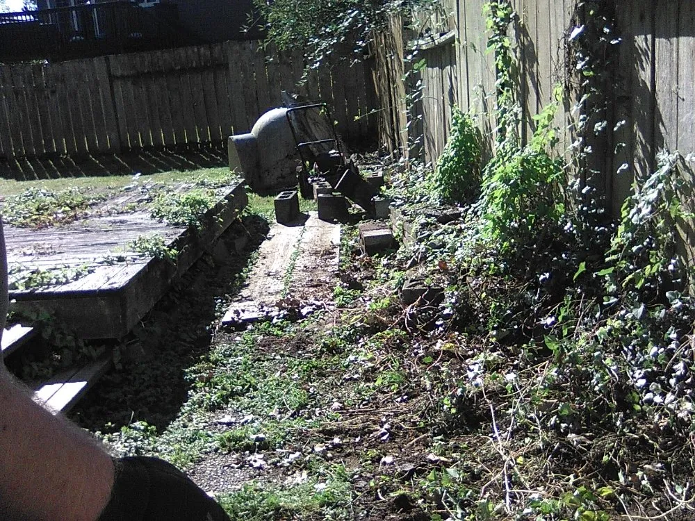 Reliable yard cleanup service in Covington, WA - Green To Go