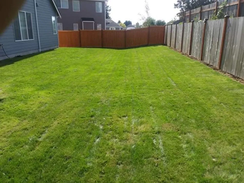 Expert lawn mowing service in Covington, WA - Green To Go