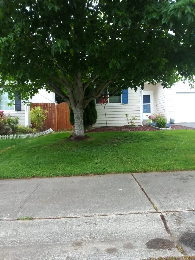 Custom yard maintenance in Covington, WA by Green To Go