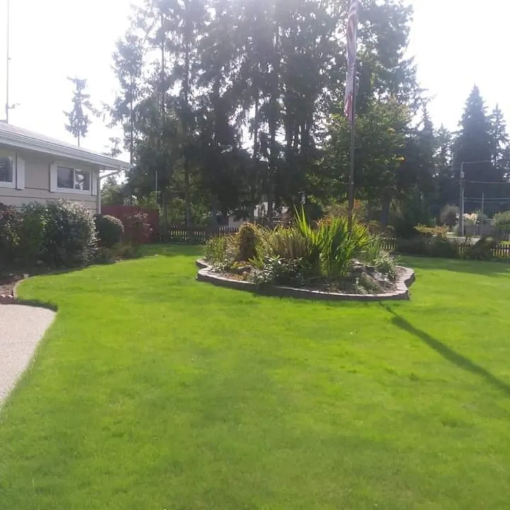 Professional landscape design experts serving Covington, WA - Green To Go