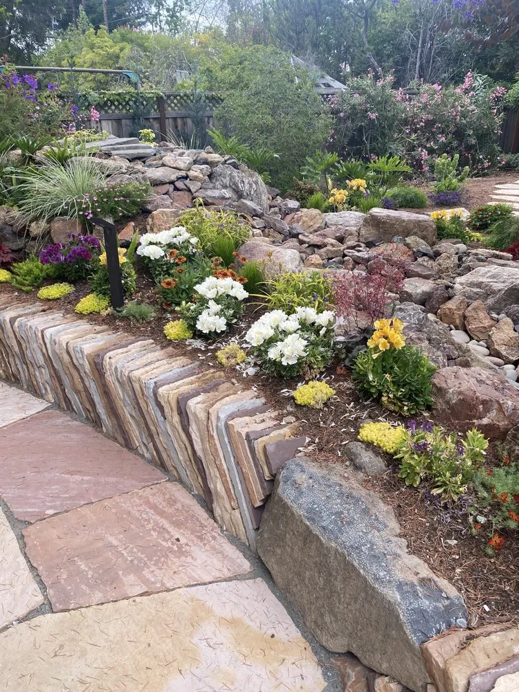 Custom lawn care service for beautiful yards across San Pablo, CA - Green Tom Landscaping