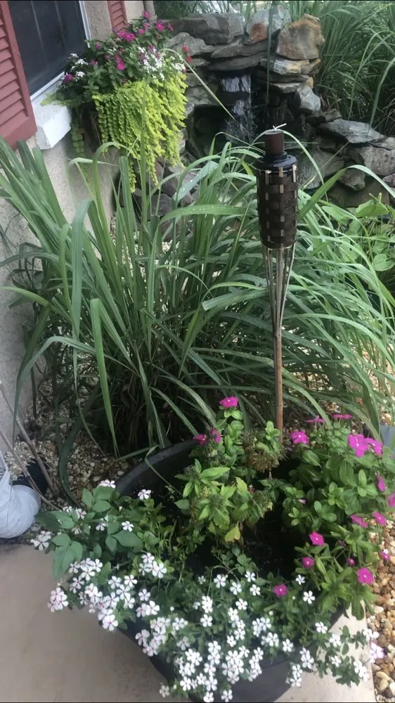 Trusted lawn care service in Spring Hill, FL by Green Tongue Landscaping & Koi Pond Design